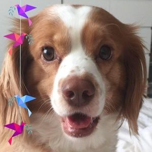 Meet your Posher, Helen